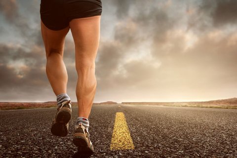 Area Fisio Sport
